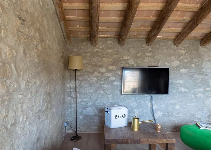 As Palau Dels Alemanys Boutique Monument 4* 赫罗纳