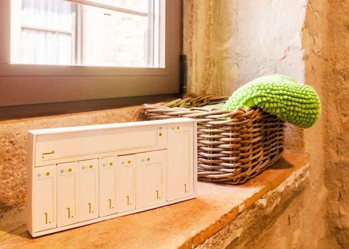 As Palau Dels Alemanys Boutique Monument 4*