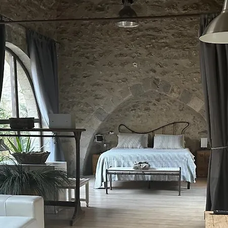 Apart-hotel As Palau Dels Alemanys Boutique Monument