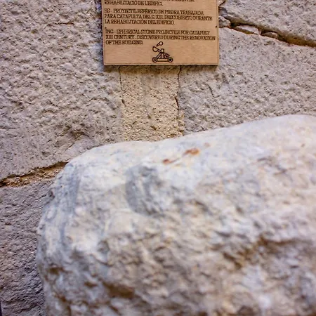 Aparthotel As Palau Dels Alemanys Boutique Monument