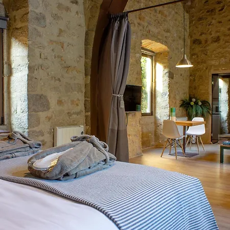 As Palau Dels Alemanys Boutique Monument Aparthotel Girona