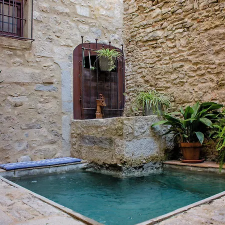 Appart hôtel As Palau Dels Alemanys Boutique Monument 4*
