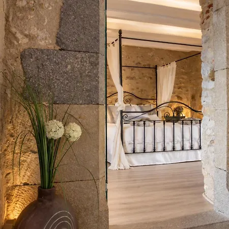 As Palau Dels Alemanys Boutique Monument Aparthotel Girona