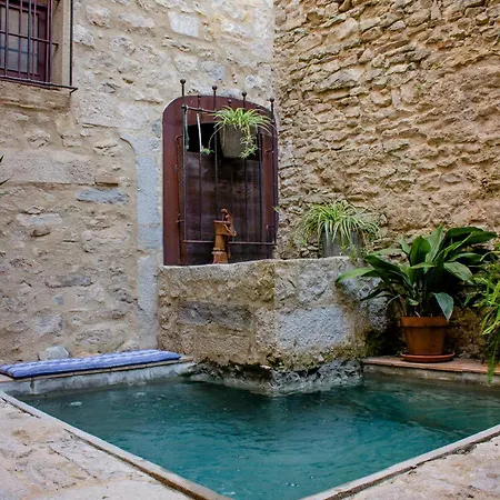 As Palau Dels Alemanys Boutique Monument Hotel apartamentowy Girona