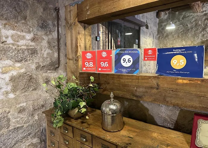 Aparthotel As Palau Dels Alemanys Boutique Monument Girona